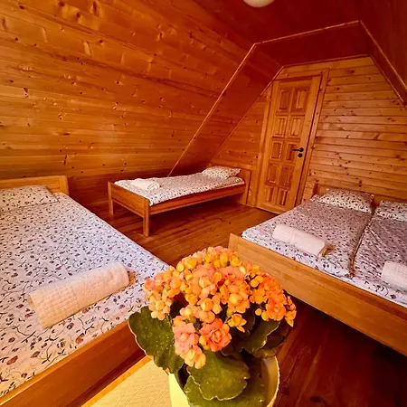 I Gościnne Pod Brzozą * Władysławowo